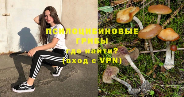 гашик Верхний Тагил
