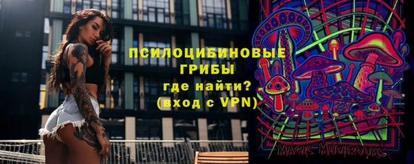 гашик Верхний Тагил