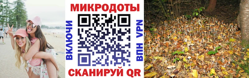 Псилоцибиновые грибы Magic Shrooms  Лиски 